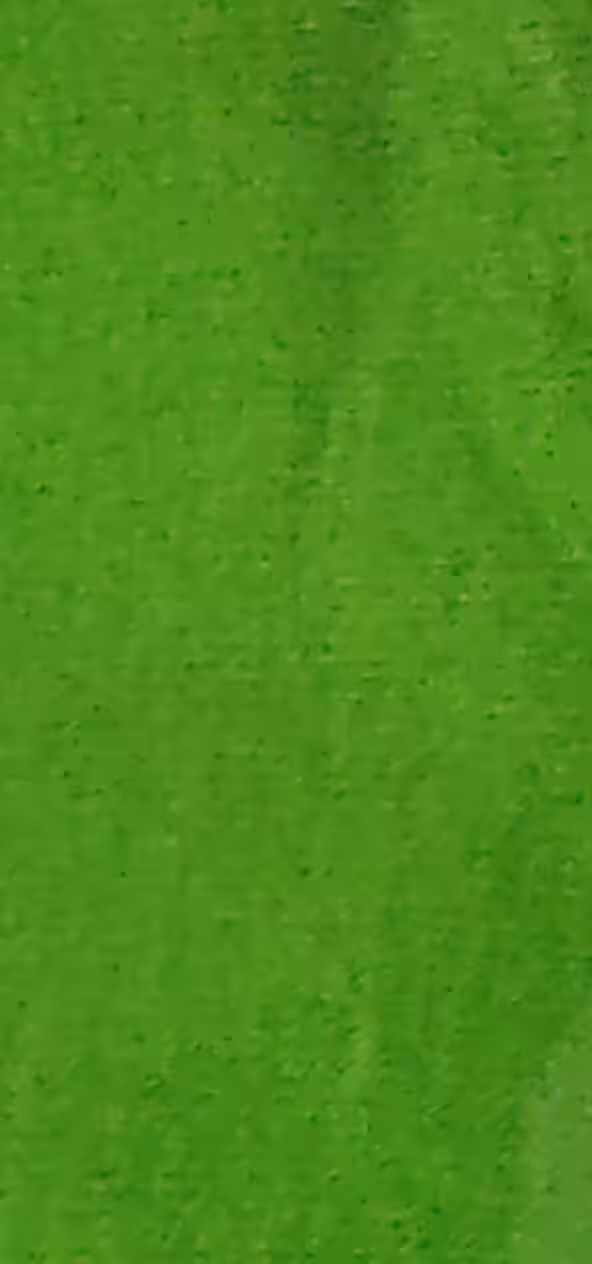 سبز 2794