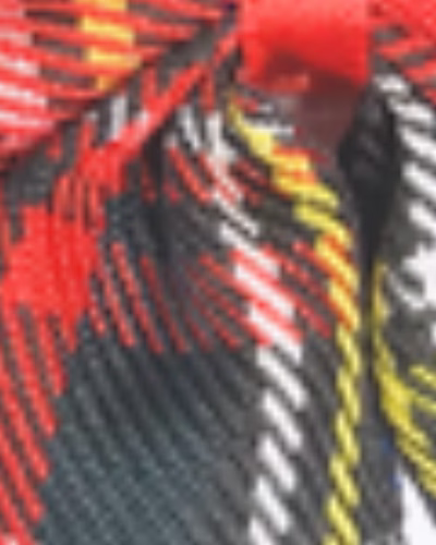 چها رخونه-انبه-ای