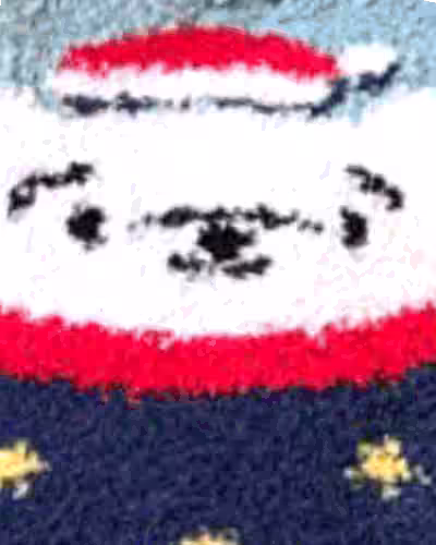 طرح-خرس-قطبی